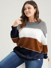 Colorblock Contrast Pointelle Knit Round Neck Knit Top