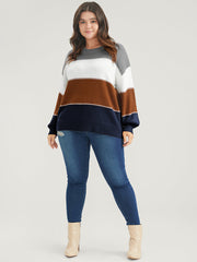 Colorblock Contrast Pointelle Knit Round Neck Knit Top