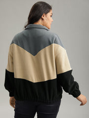 Colorblock Contrast Zipper Drop Shoulder Jacket