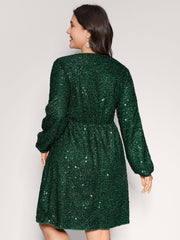 Shimmery Sequin V-Neck Knee Dress