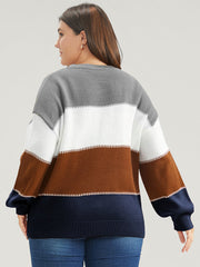 Colorblock Contrast Pointelle Knit Round Neck Knit Top