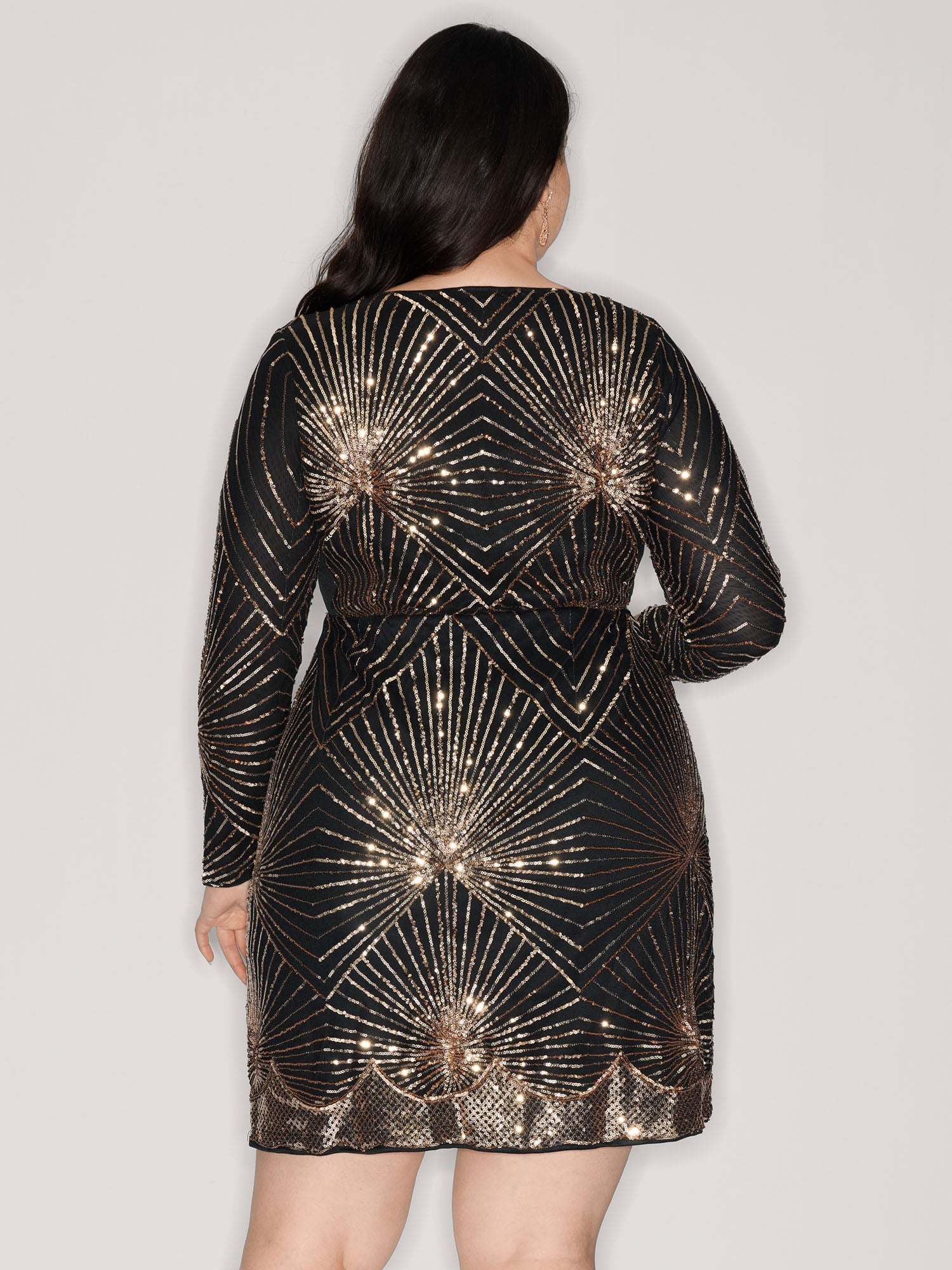 Shimmery Sequin Sheer Zipper Midi Dress