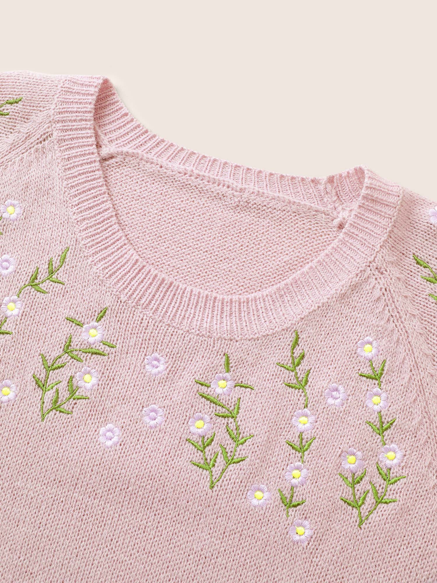 Floral Embroidered Crew Neck Raglan Sleeve Pullover