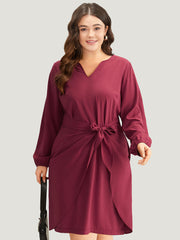 Anti-Wrinkle Solid Ties Lantern Sleeve Dress