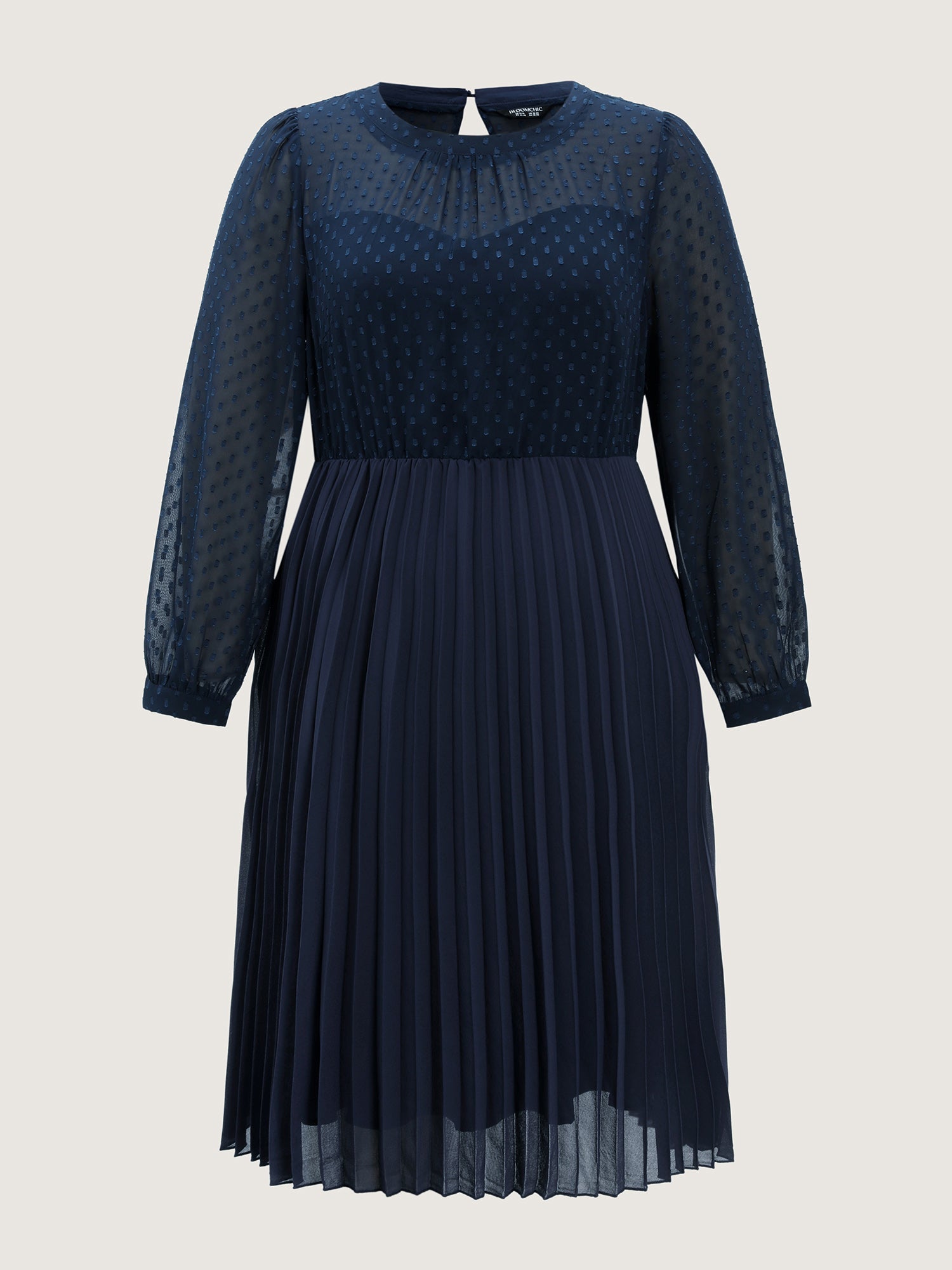 Sheer Polka Dots Pleated Midi Dress