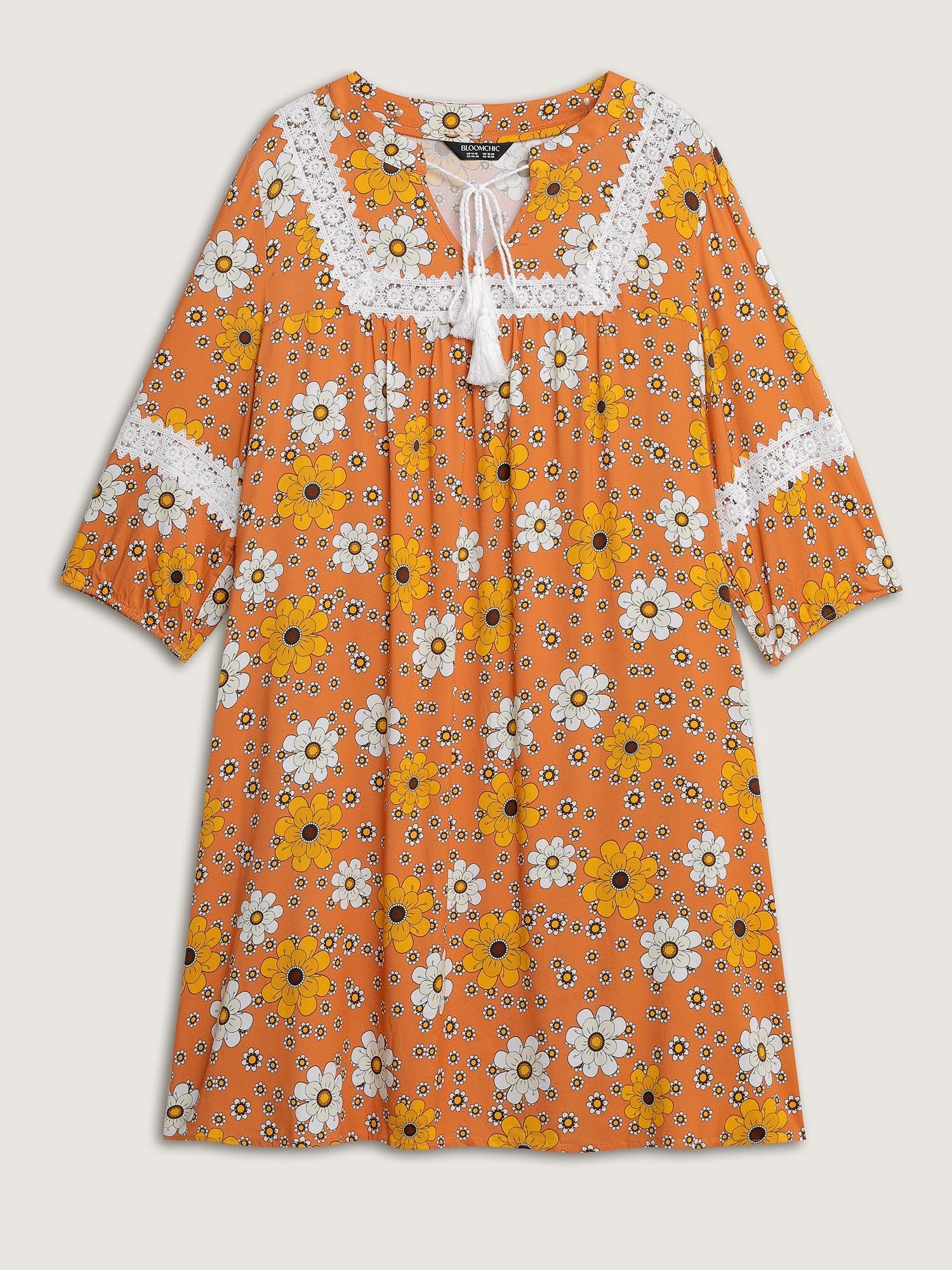 Floral Lace Trim Sheer Knee-Length Dress