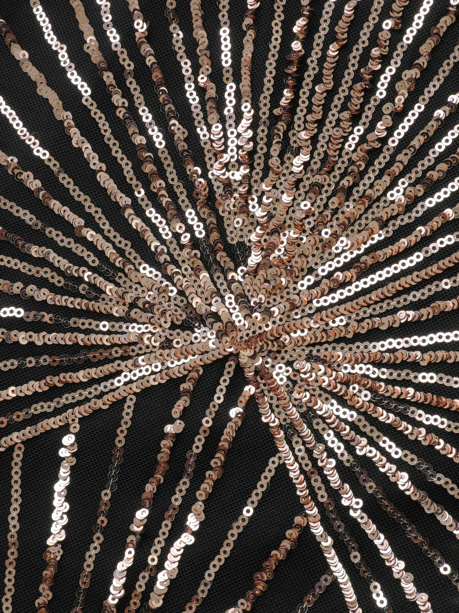 Shimmery Sequin Sheer Zipper Midi Dress